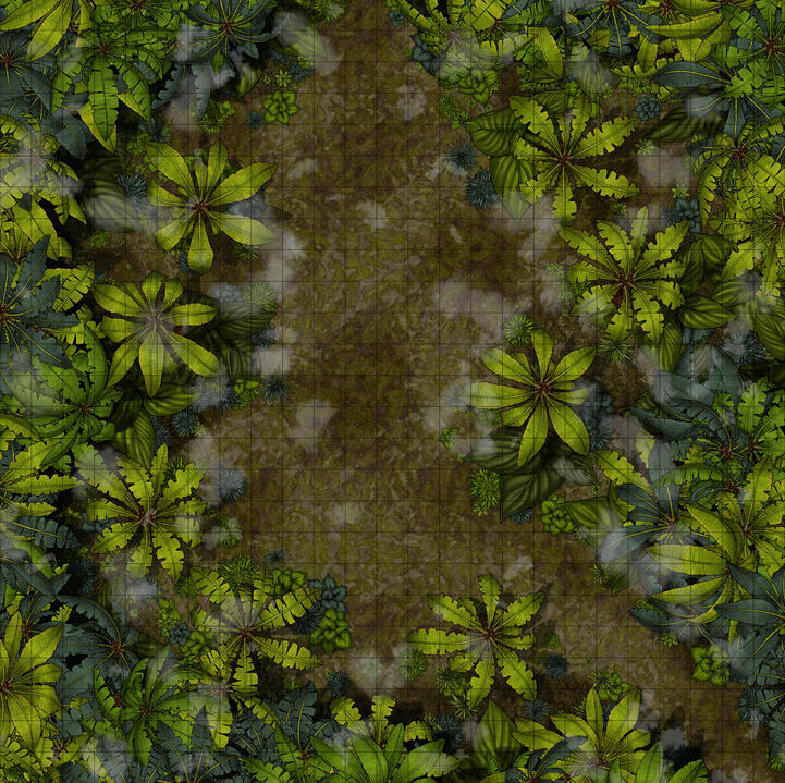 Dense Jungle Dense Jungle